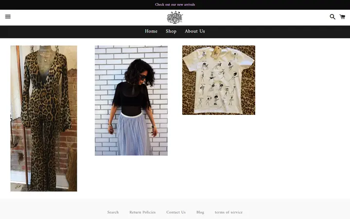 /collections/feature-collections — Canary in a Clothesmine