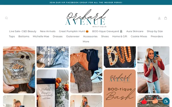Website of Orchard Ave Boutique