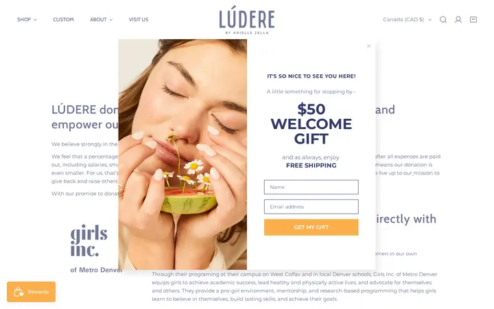 /pages/charitable-giving — LÚDERE