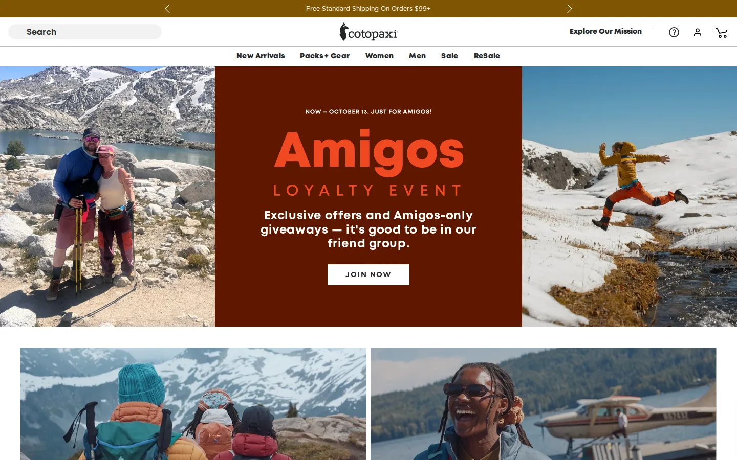Captured website of Cotopaxi Larimer Square