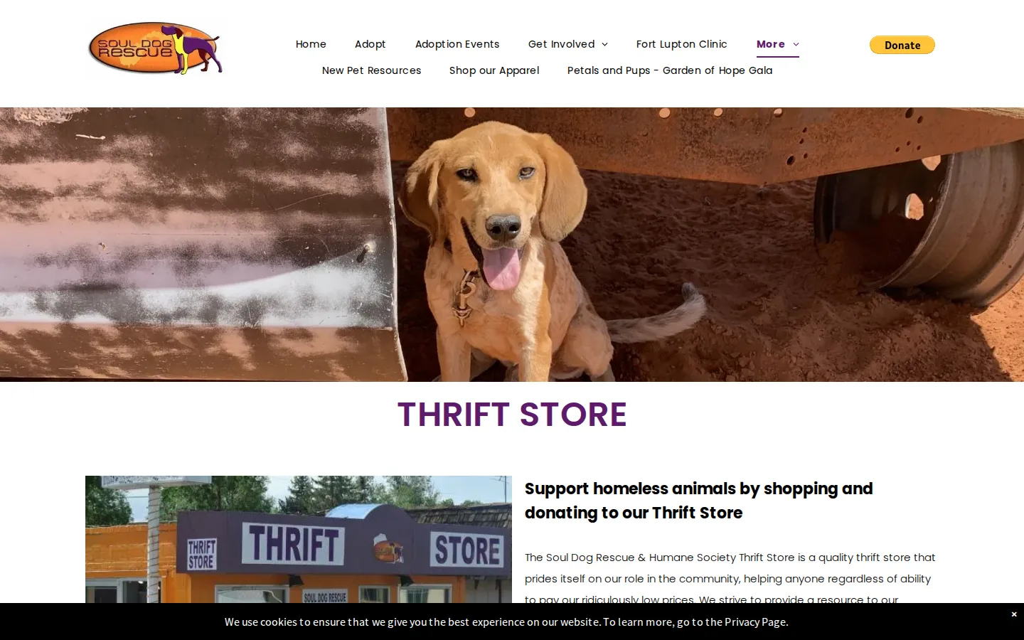 Captured website of Soul Dog Rescue Thrift Store