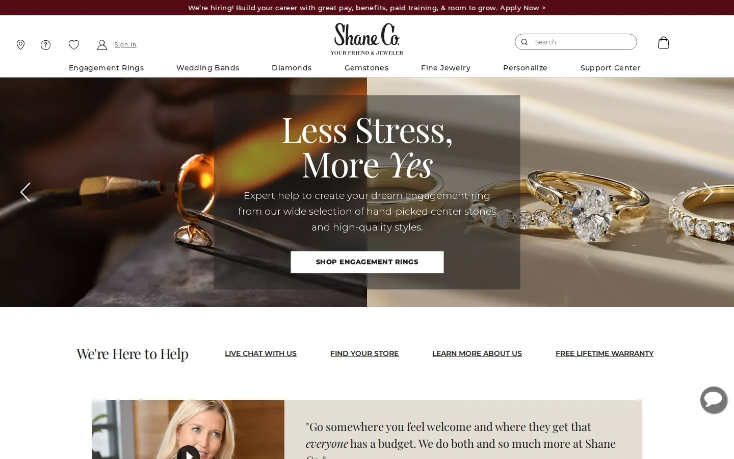 Captured website of Shane Co.