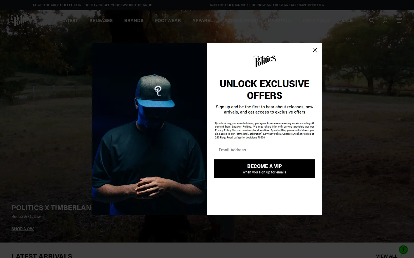 Captured website of Sneaker Politics