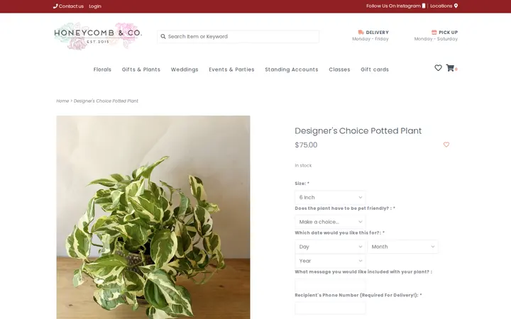 /designers-choice-potted-plant.html — Honeycomb & Co.