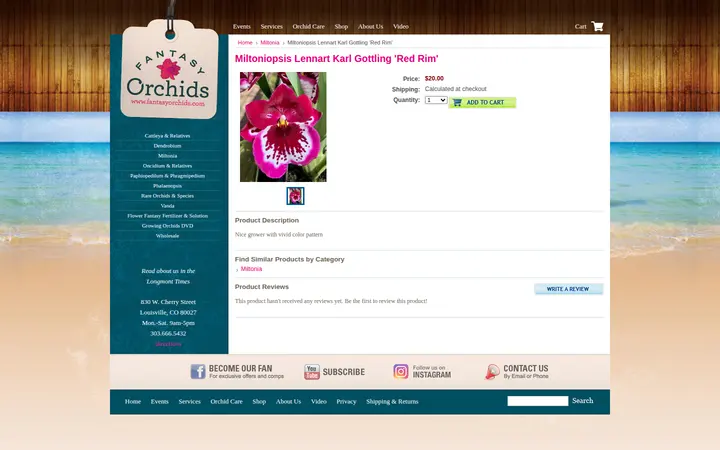/miltoniopsis-lennart-karl-gottling-red-rim — Fantasy Orchids Inc.