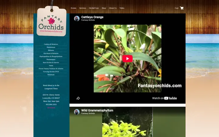/video — Fantasy Orchids Inc.