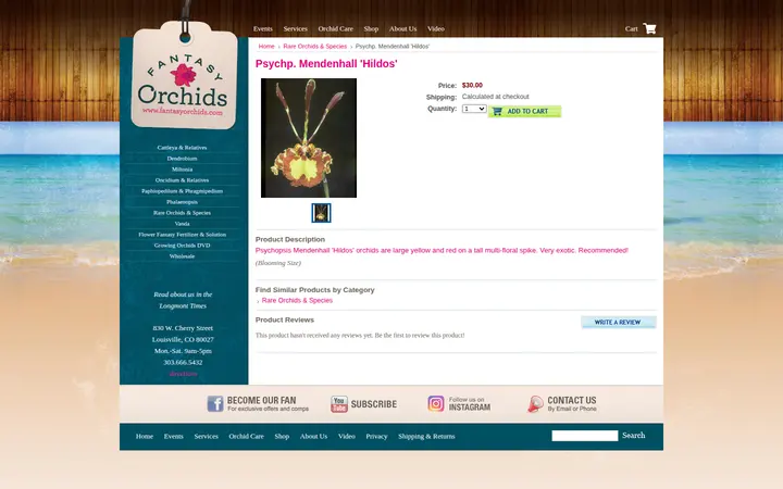 /psychp-mendenhall-hildos — Fantasy Orchids Inc.