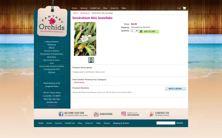 /dendrobium-mini-snowflake — Fantasy Orchids Inc.
