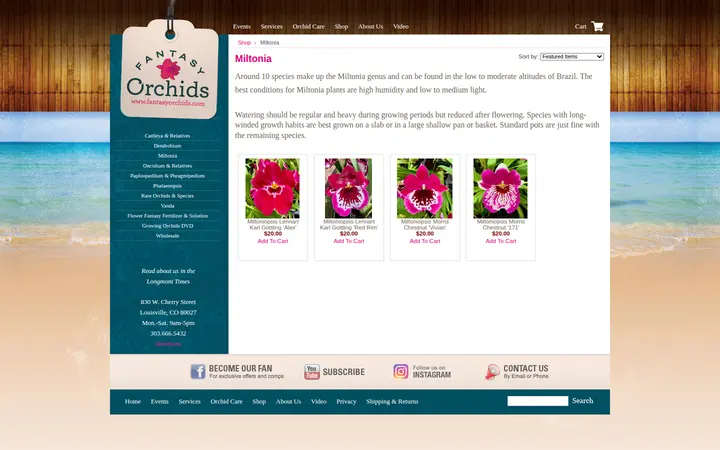 /categories/Miltonia — Fantasy Orchids Inc.