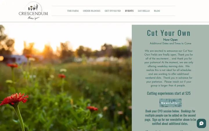 /copy-of-dahlias — Crescendum Flower Farm