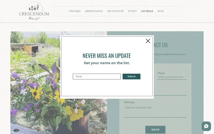 /say-hello — Crescendum Flower Farm