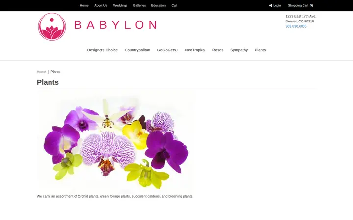 /plants-babylon.html — Babylon Floral