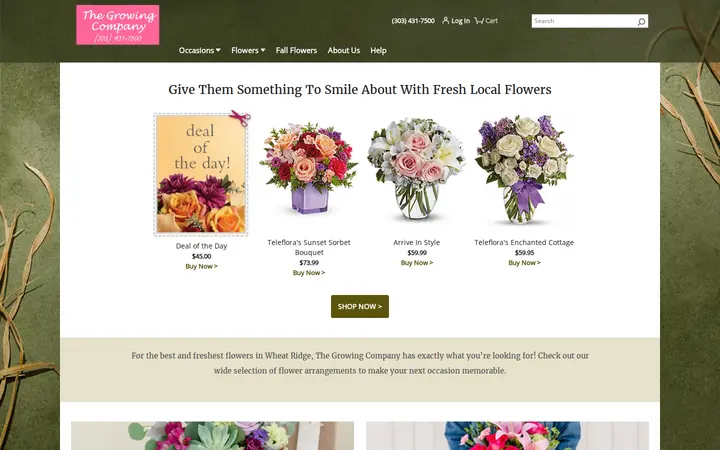 Website of The Growing Company