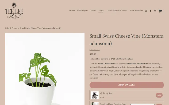 /gifts-plants/p/monstera-adansonii-swiss-cheese-vine-gift — TeeLee Floral and Events
