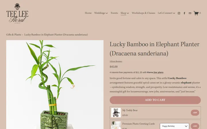 /gifts-plants/p/lucky-bamboo-elephant-planter-gift — TeeLee Floral and Events