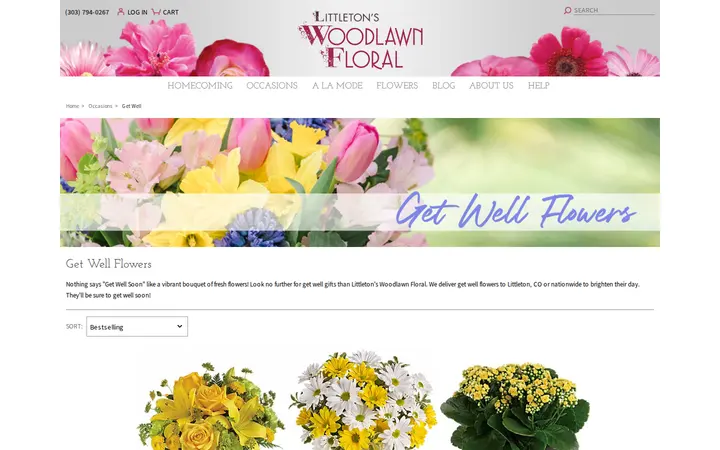 /get-well/cat1000018 — Littleton's Woodlawn Floral