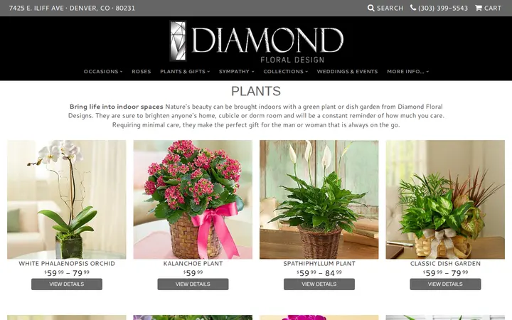 /shop/plants-and-gifts/plants — Diamond Floral Designs