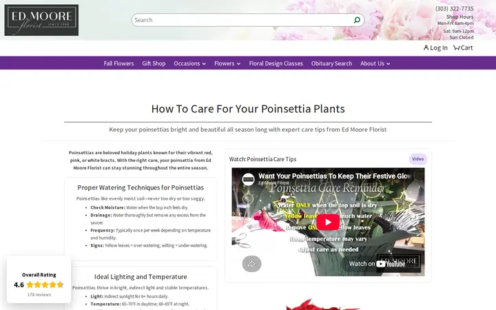 /poinsettia-care — Ed Moore Florist
