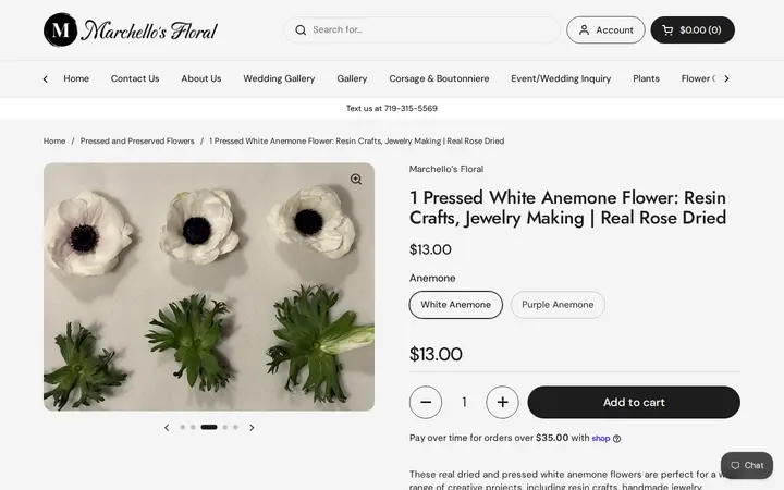 /collections/pressed-and-preserved-flowers/products/1-pressed-white-anemone-flower-resin-crafts-jewelry-making-real-rose-dried — Marchello's Floral