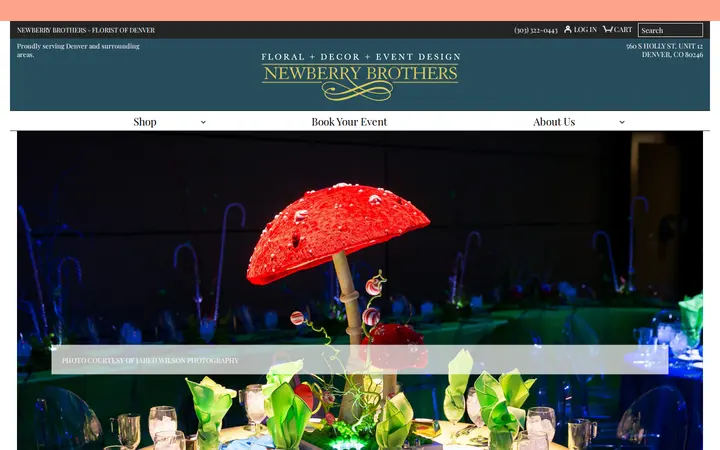 /gallery/mitzvah-004 — Newberry Brothers Florist