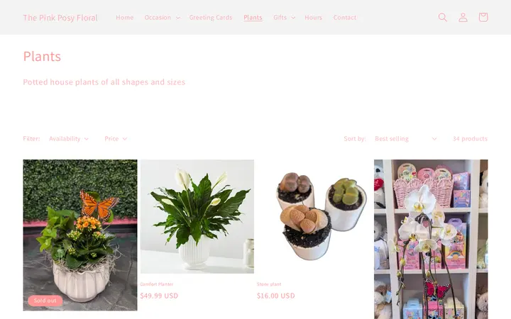 /collections/plants — The Pink Posy