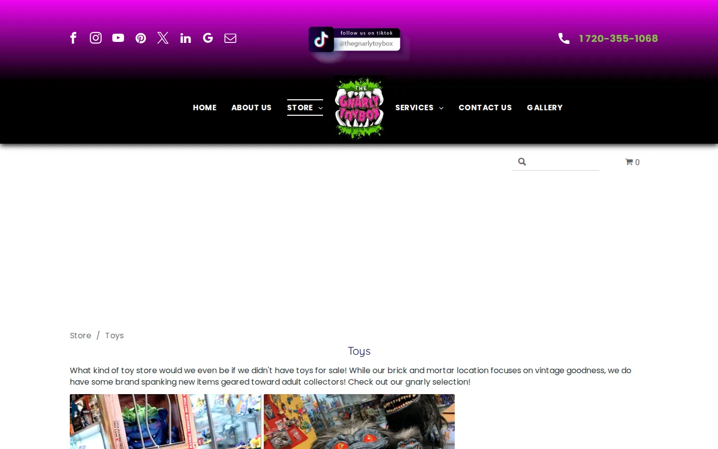 Captured website of The Gnarly Toybox