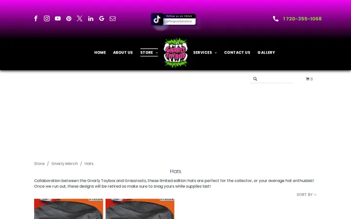 /store/Hats-c116870061 — The Gnarly Toybox
