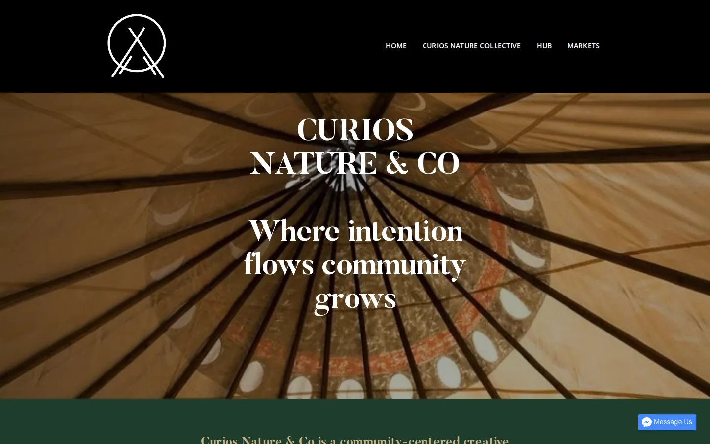 Captured website of Curios Nature & Co