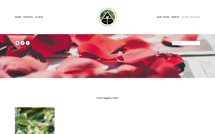 /from-the-herbalist/tag/Linden — Apothecary Tinctura