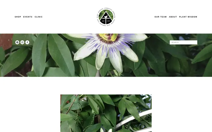 /gallery-plants — Apothecary Tinctura