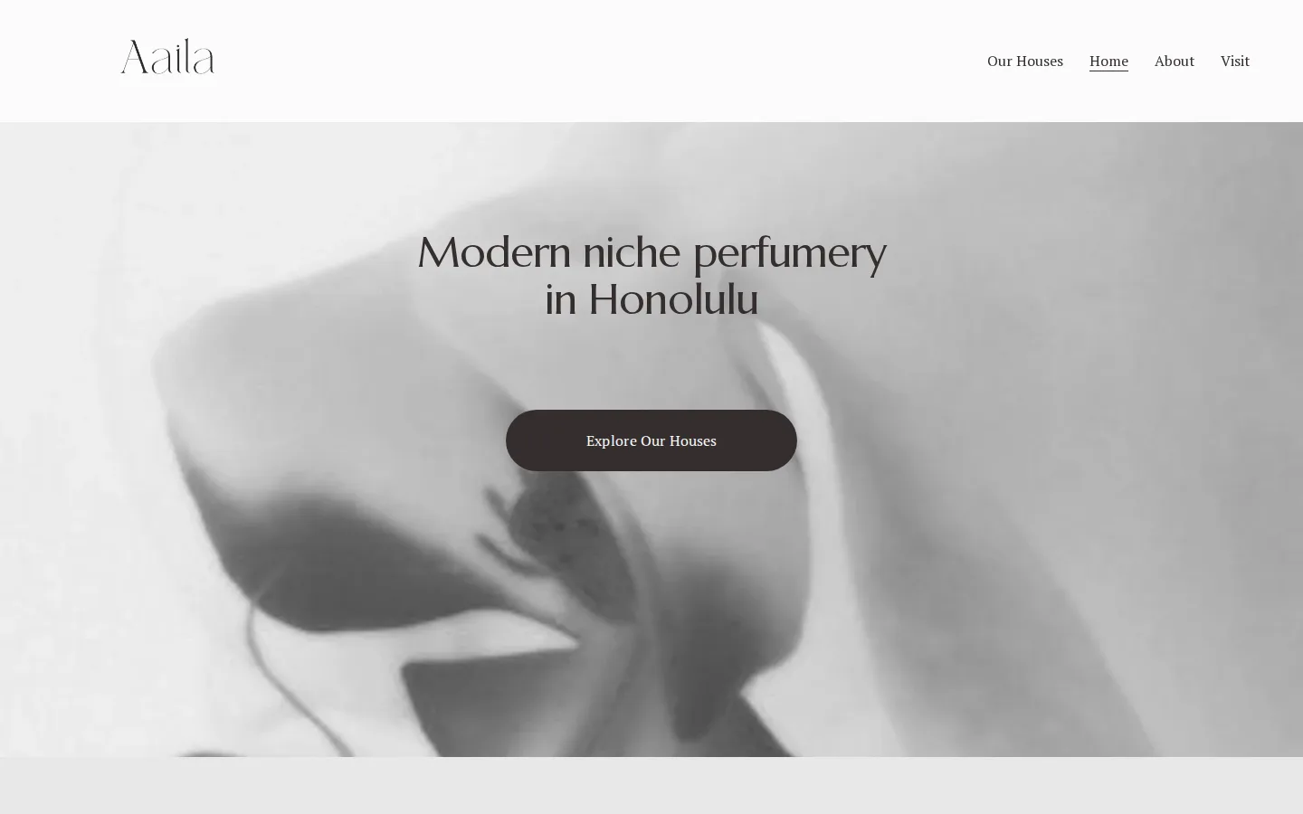 Captured website of Aaila