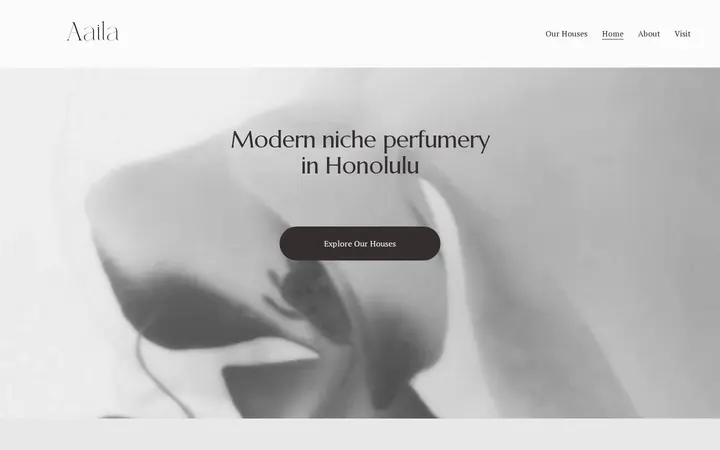 Website of Aaila