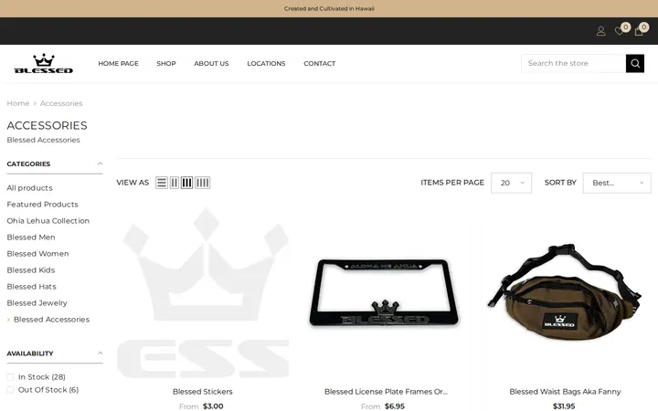 /collections/accessories — The Blessed Life