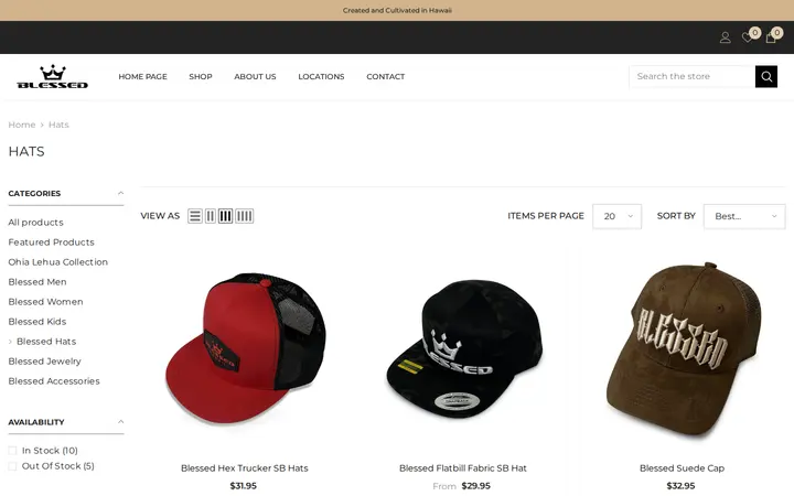 /collections/hats — The Blessed Life