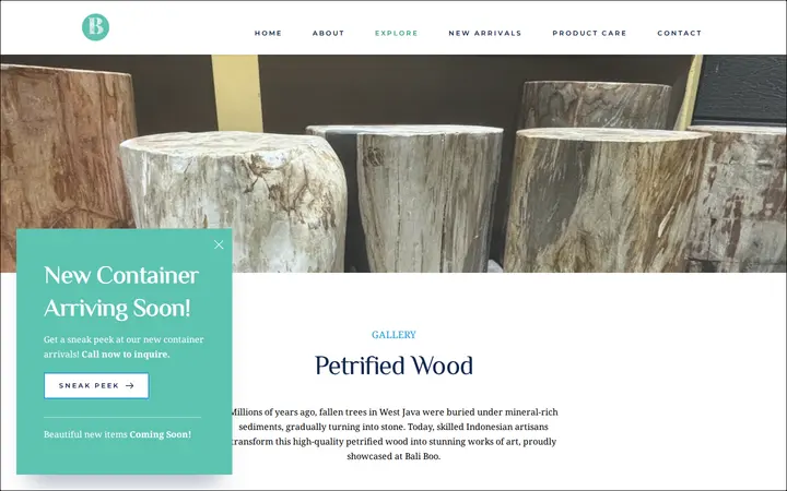 /petrified-wood — Bali Boo Living