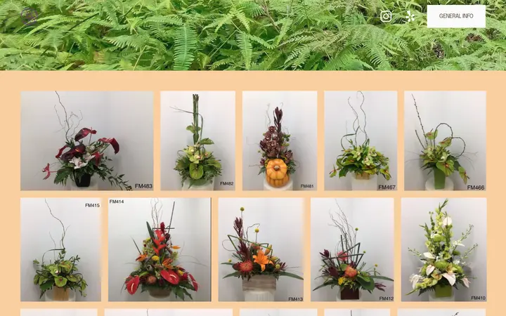/tropical — Flo's Min Florists Inc