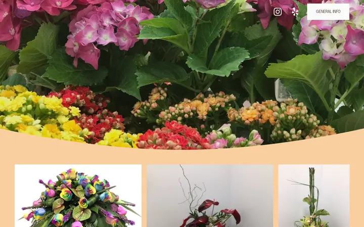 /all-photos — Flo's Min Florists Inc