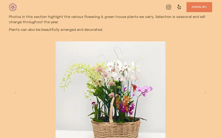 /plants — Flo's Min Florists Inc