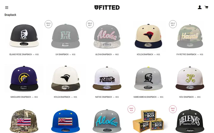 /collections/snapback-1/9fifty — Fitted
