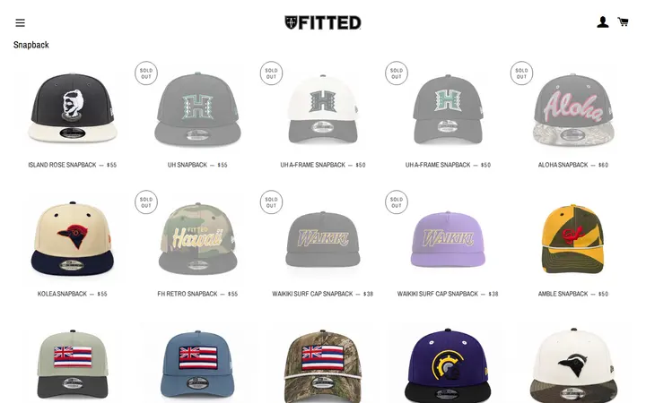 /collections/snapback-1 — Fitted