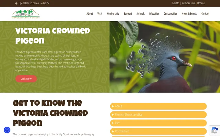 /victoria-crowned-pigeon — Honolulu Zoo Gift Shop