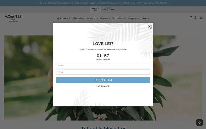 /collections/maile-ti-leaf-lei — Hawaii Lei Stand