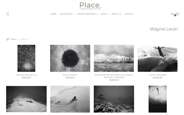 /collections/wayne-levin — Place., A Design Atelier by Philpotts