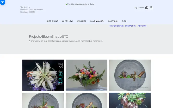 /gallery/projects-bloomsnaps-etc — The Blue Iris