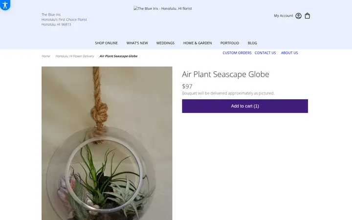 /honolulu-the-blue-iris/air-plant-seascape-globe.html — The Blue Iris