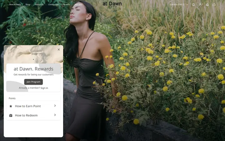 Homepage — at Dawn. O'AHU