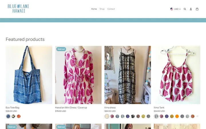 Website of Blue Lani Hawaii