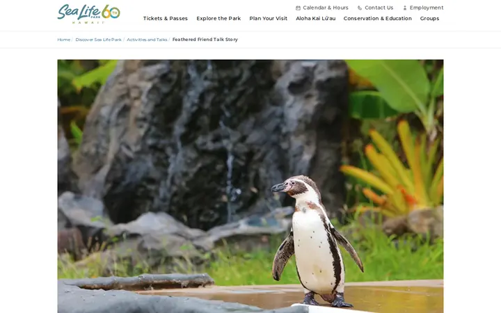 /discover-sea-life-park/activities-and-talks/feathered-friend-talk-story — Sea Life Park Hawaii