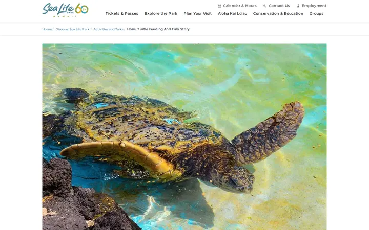 /discover-sea-life-park/activities-and-talks/honu-turtle-feeding-and-talk-story — Sea Life Park Hawaii