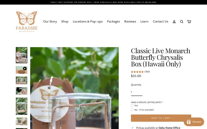 /products/classic-chrysalis-box — Paradise Monarchs